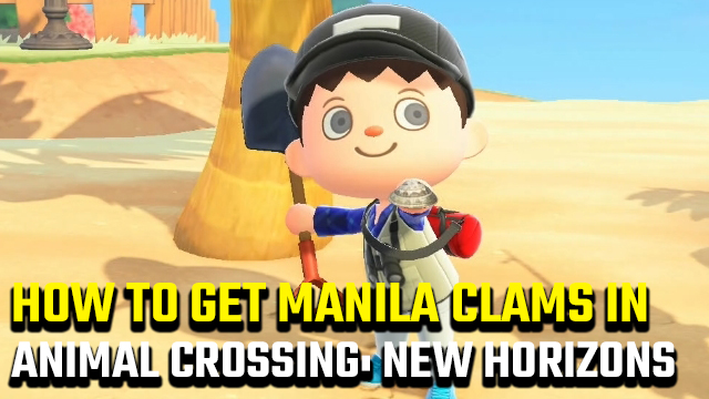 How to get manila clams in Animal Crossing: New Horizons