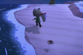how to go to Spider Island in Animal Crossing: New Horizons