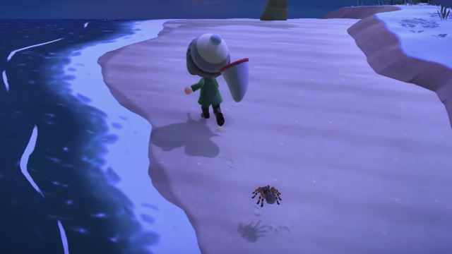 how to go to Spider Island in Animal Crossing: New Horizons