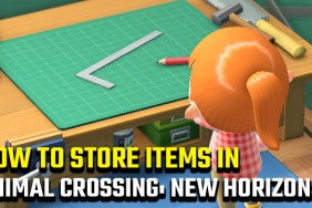 how to store items in Animal Crossing: New Horizons