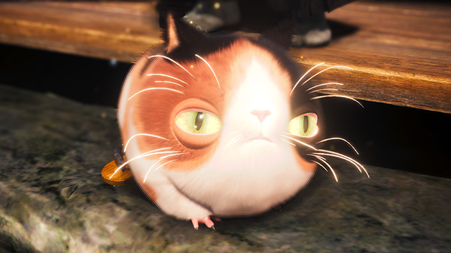 Nioh 2 is pro-cat/anti-dog propaganda made by cats