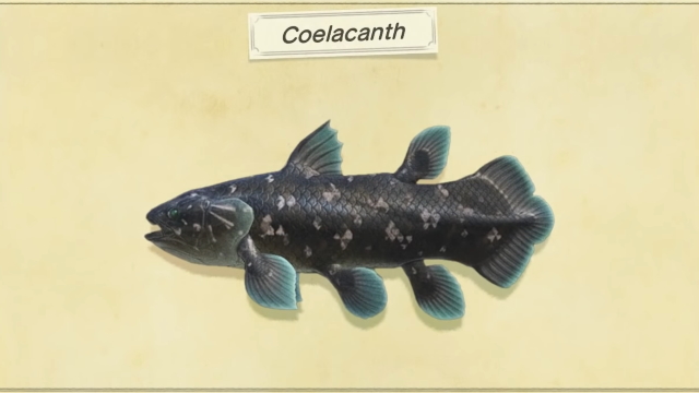 Animal Crossing: New Horizons Coelacanth