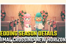 Animal Crossing: New Horizons Wedding Season