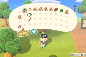 Animal Crossing: New Horizons storage space