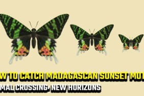how to catch a Madagascan Sunset Moth in Animal Crossing: New Horizons
