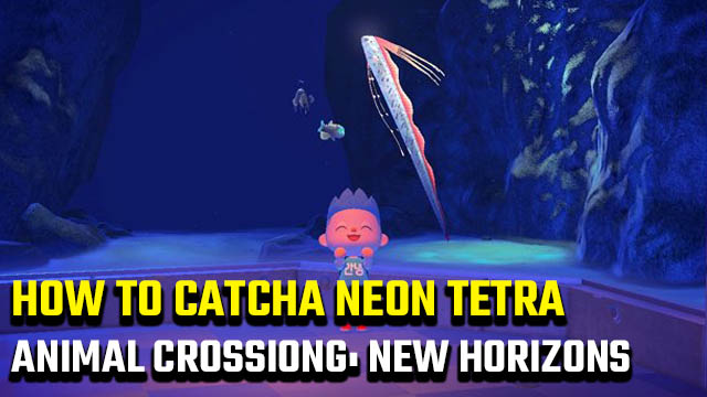 how to catch a Neon Tetra in Animal Crossing: New Horizons