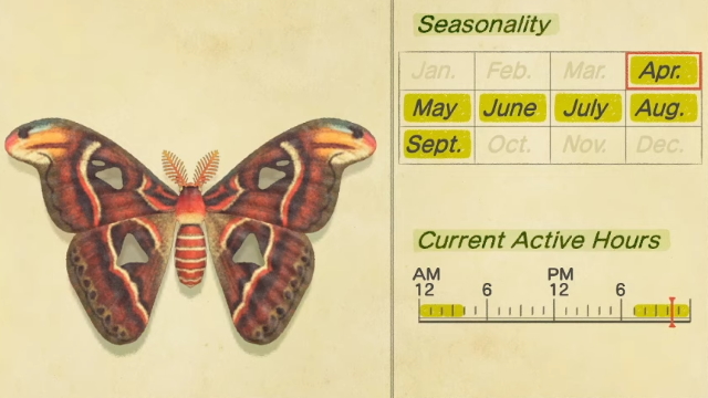 how to catch an Atlas Moth in Animal Crossing: New Horizons