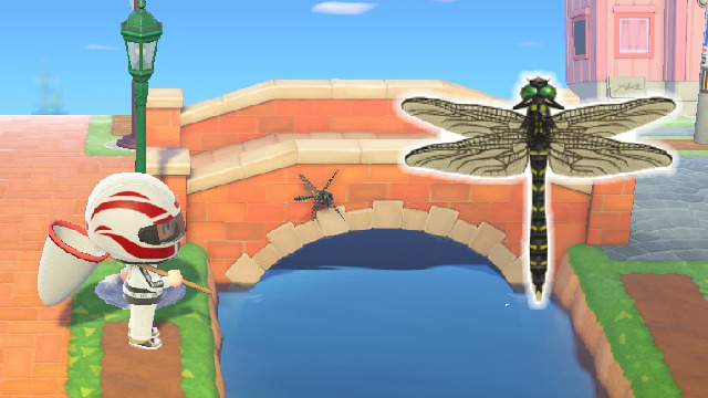 How do I catch the Banded Dragonfly in Animal Crossing: New Horizons?
