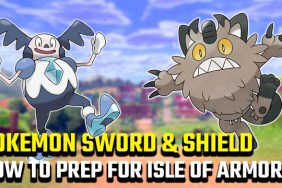 How to prepare for Pokemon Sword and Shield Isle of Armor DLC