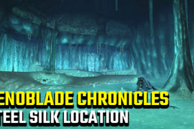 Xenoblade Chronicles Steel Silk Location
