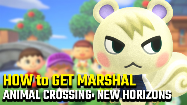how to get marshal animal crossing new horizons
