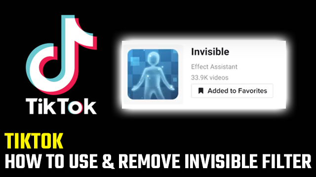 TikTok Invisible Filter
