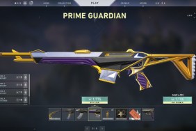 Valorant Cosmetics Prices Prime Guardian