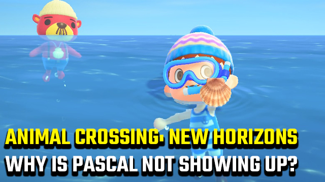 Why is Pascal not showing up in Animal Crossing: New Horizons