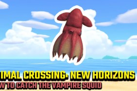 ANIMAL crossing new horizons how to catch the vampire squid