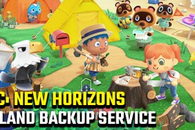Animal Crossing New Horizons Island Backup Service