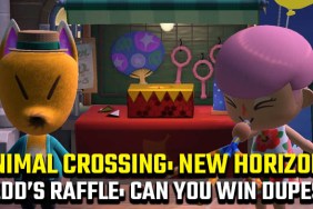 Animal Crossing: New Horizons Redd's Raffle duplicates