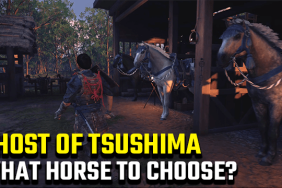 Ghost of Tsushima Choose Horse and Horse Name