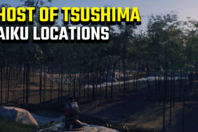 Ghost of Tsushima Haiku Locations