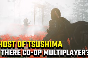 Ghost of Tsushima co-op multiplayer