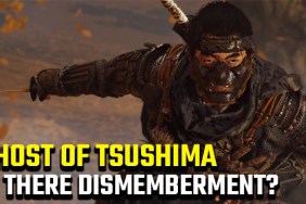Ghost of Tsushima dismemberment