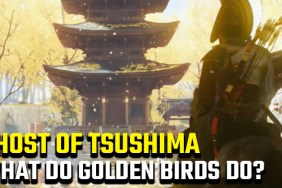 Ghost of Tsushima golden birds