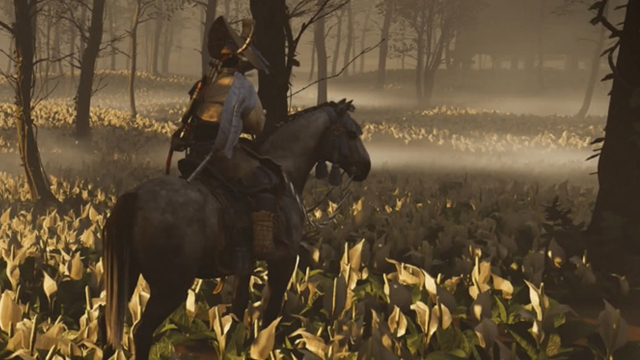 Ghost of Tsushima golden birds