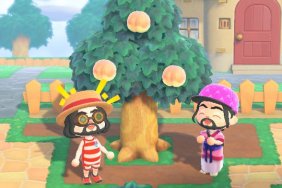 Is Animal Crossing 2 player? peach tree