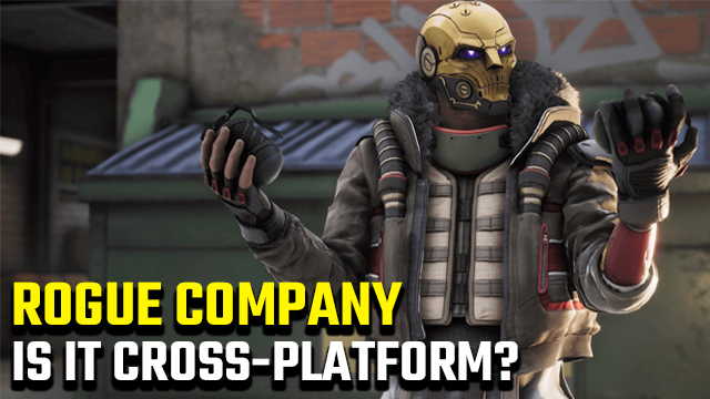 Is Rogue Company Crossplay / Cross-Platform In 2023? [Explained] - TechShout