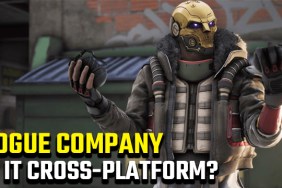 Is Rogue Company cross-platform?