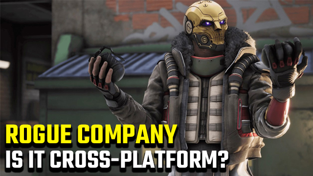 Is Rogue Company cross-platform?