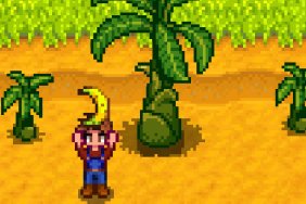 When is the Stardew Valley 1.5 release date? banana