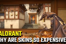 Why are Valorant skins so expensive?