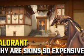 Why are Valorant skins so expensive?