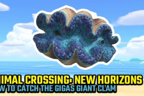 animal crossing new horizons how to catch gigas giant clam