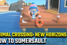 animal crossing new horizons somersault