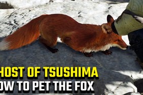 how do you pet the fox in ghost of tsushima