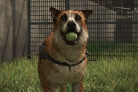 The Last of Us 2 almost let you remove violence against dogs