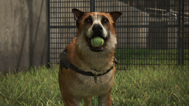 The Last of Us 2 almost let you remove violence against dogs