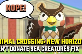 Animal Crossing: New Horizons Blathers won't accept sea creatures fix