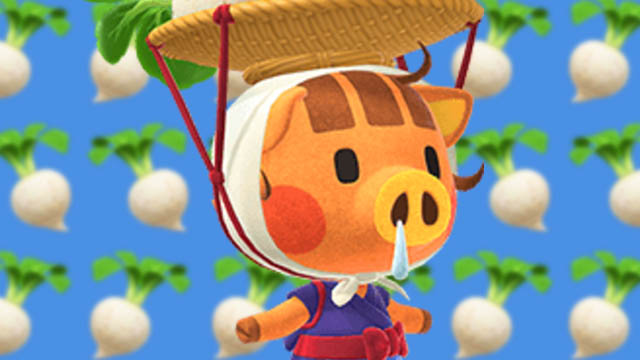 Animal Crossing: New Horizons Daisy Mae not on island fix