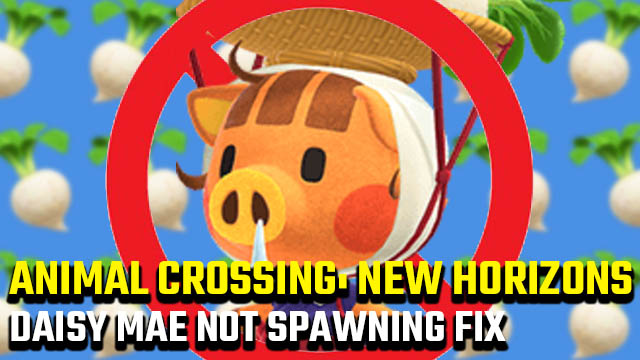 Animal Crossing: New Horizons Daisy Mae not on island fix