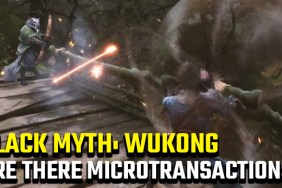 Black Myth: Wukong microtransactions