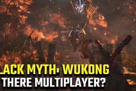 Black Myth: Wukong multiplayer