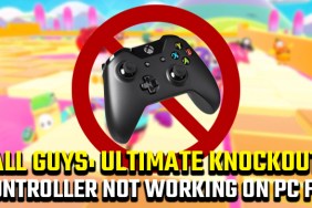 Fall Guys controller not working on PC fix