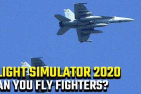 Flight Simulator 2020 Can you fly fighters and bombers