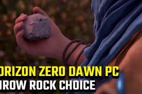 Horizon Zero Dawn PC Throw Rock Choice