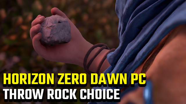 Horizon Zero Dawn PC Throw Rock Choice