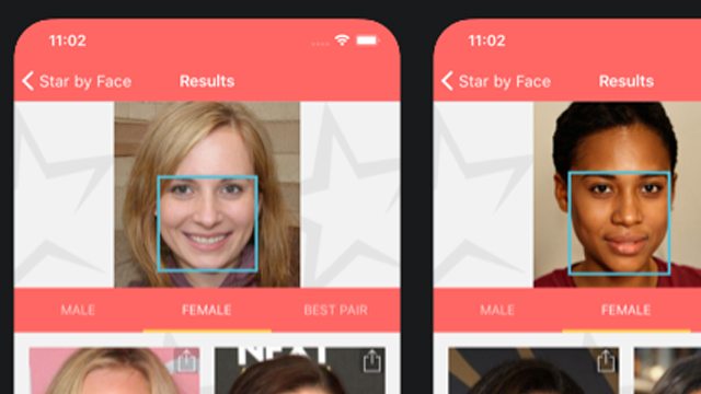 What is the Celebrity Lookalike App