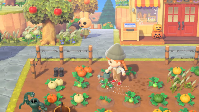 Animal Crossing: New Horizons Halloween update pumpkin farming